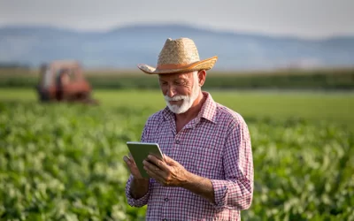 Governo publica regras da DITR 2022