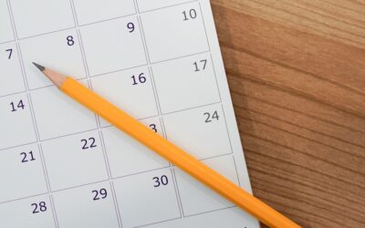 Agenda tributária de novembro já está disponível; confira e prepare-se para a reta final de 2023