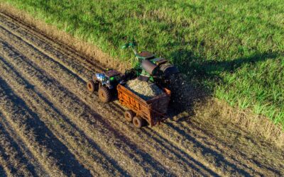 Tributação no Agronegócio: Entendendo os Principais Aspectos